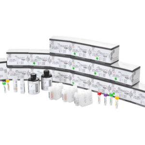 RAYTO 5'-NT 5'-Nucleotidase Assay Reagent Kit ( R1:30ml×1, R2:10ml×1, Calibrator (1ml*1) )